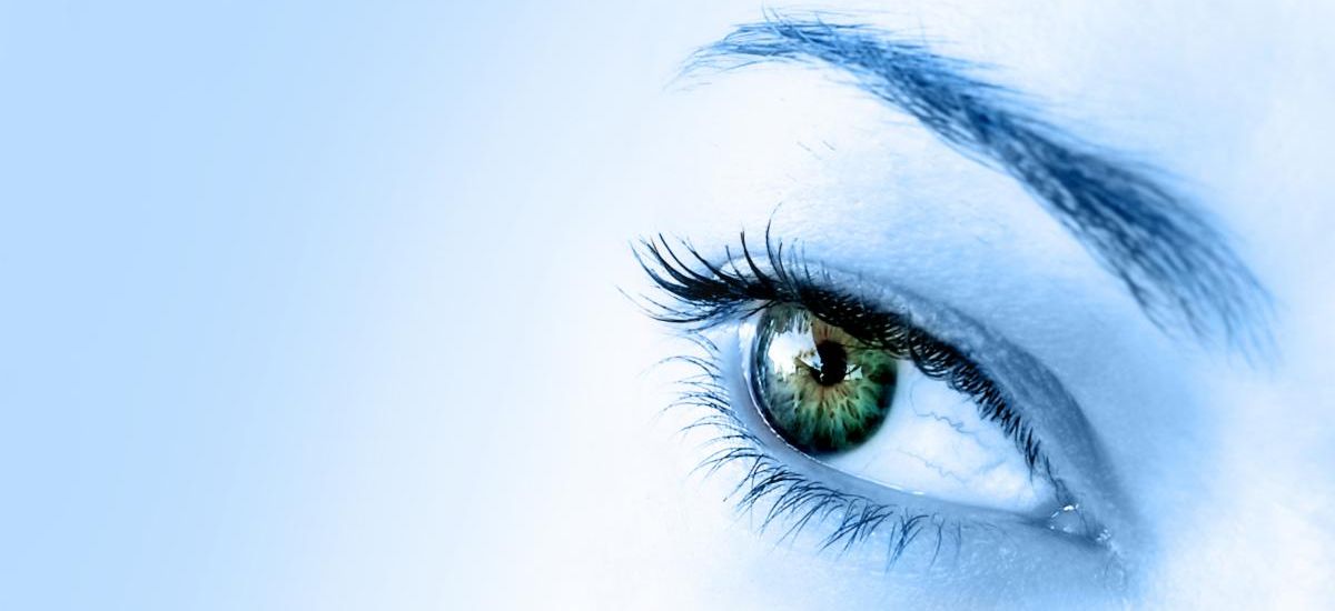 Optifort {ClinicalFOCUS} Evidence-Based Natural Therapeutics for Common Chronic ...