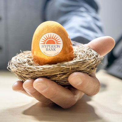Nest Egg