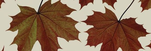 leaves.jpg