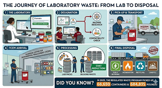 six steps of waste process