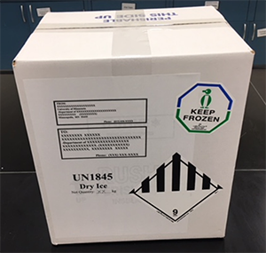 Properly packaged and labeled box containing research samples on dry ice