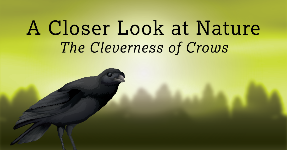 John Paul Landing Park & Education Center's May Newsletter