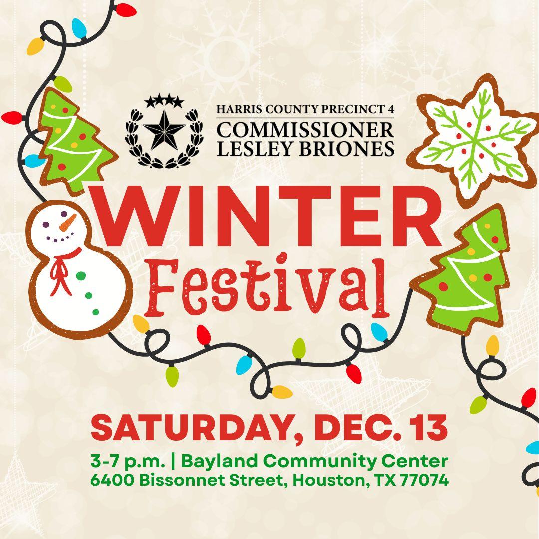 Winter Festival flyer