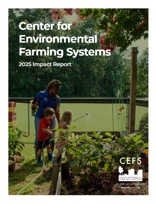 2025 CEFS Impact Report front page