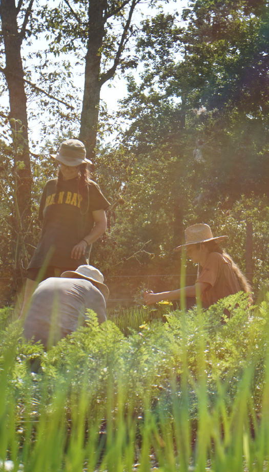 Apprentices on a farm