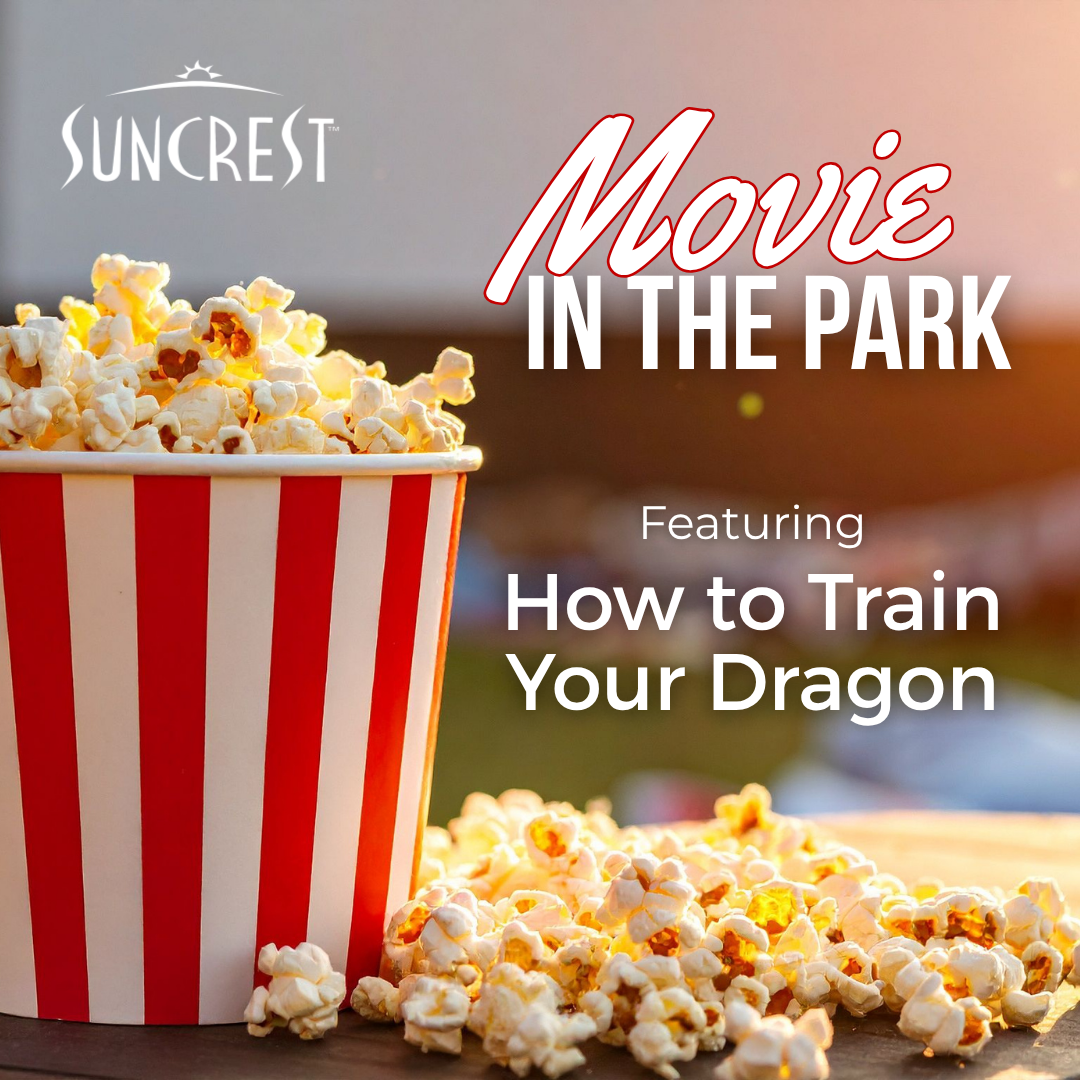 Movie in the Park Featuring How to Train Your Dragon