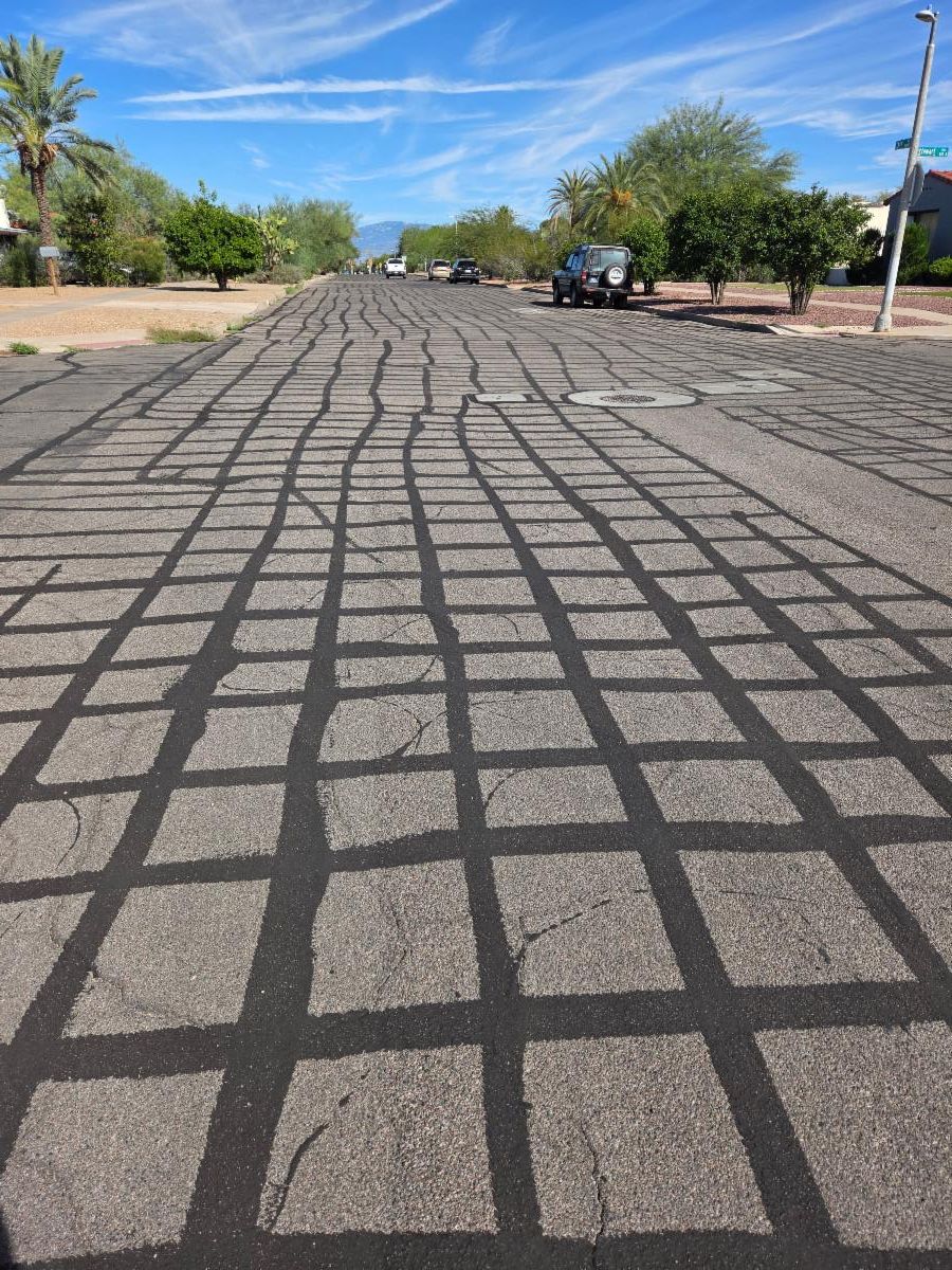 Alligator Cracks