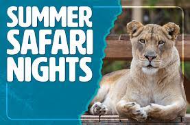 Summer Safari Nights