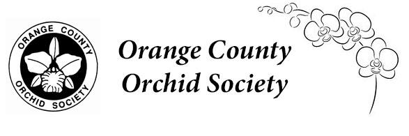 Orange County Orchid Society August News