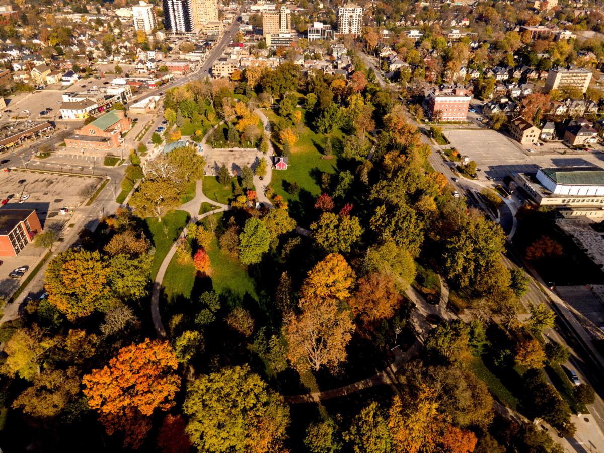 View from London City Hall observation deck of Victoria park in fall.