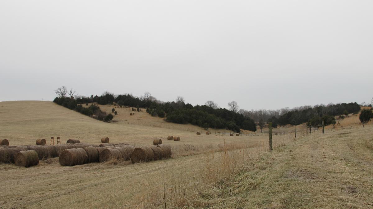 The Counts Realty & Auction Group Auction News