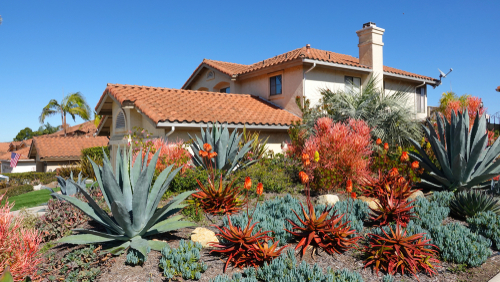 Drought tolerant landscaping in Southern California                              