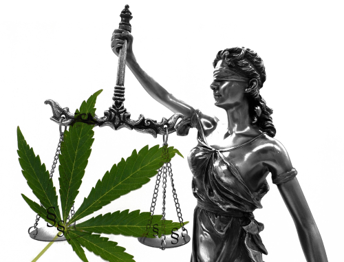 Legalization of cannabis hemp on a white background