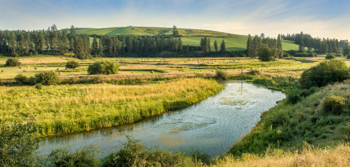 Join us on Tues., March 23 for the RuraLead Ideas Summit Session