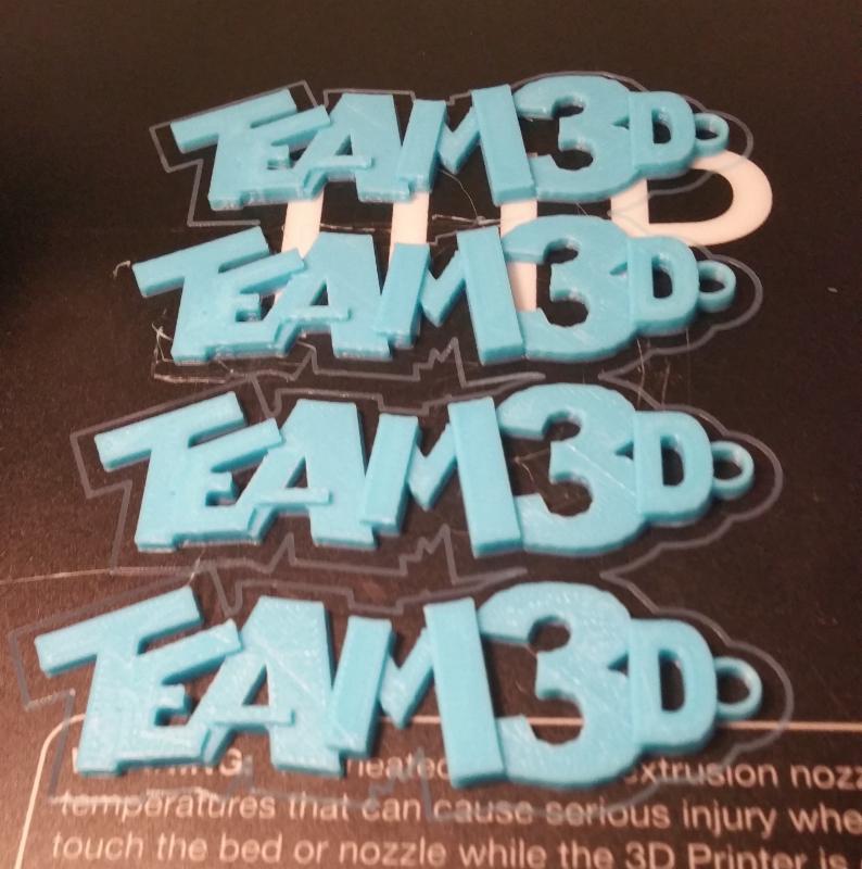 Izabel Lam Team3D key chain