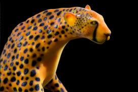 IZABEL LAM 3D PRINT - Zatiti The Cheetah