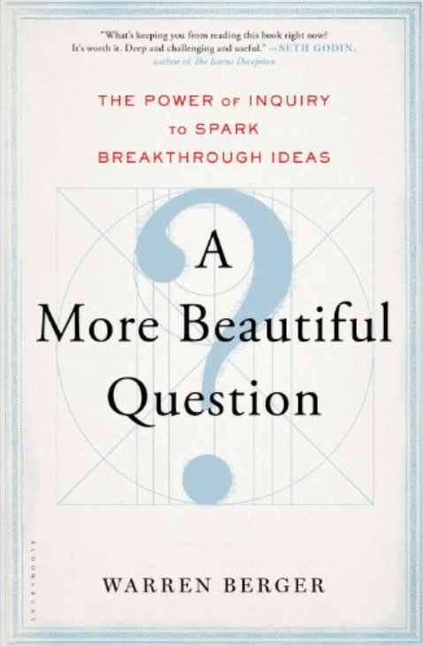 book cover of a more than a beautiful question