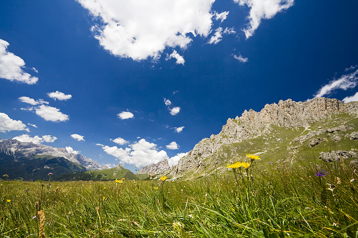 rocky_mountain_scene.jpg