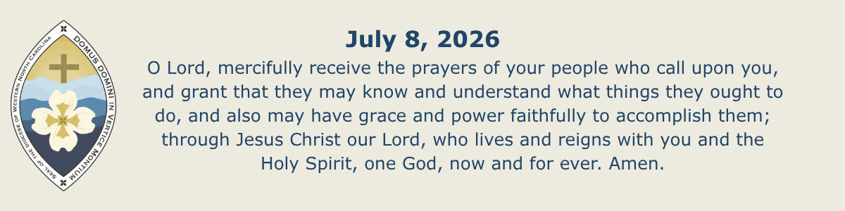 Newsletter_Collect_p1.png