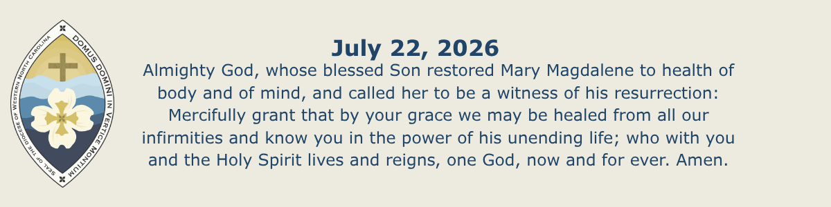 Newsletter_Collect_p1.png
