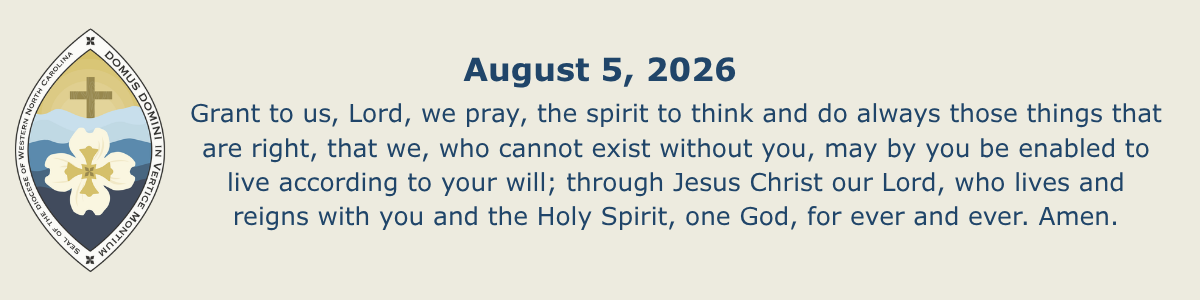 Newsletter_Collect_p1.png