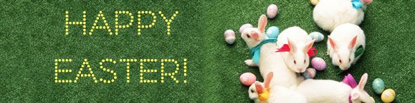 easter-bunnies-grass.jpg