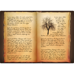 E-Book