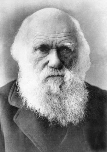 Charles Darwin  1809-1882 _ circa 1870s-1980s.