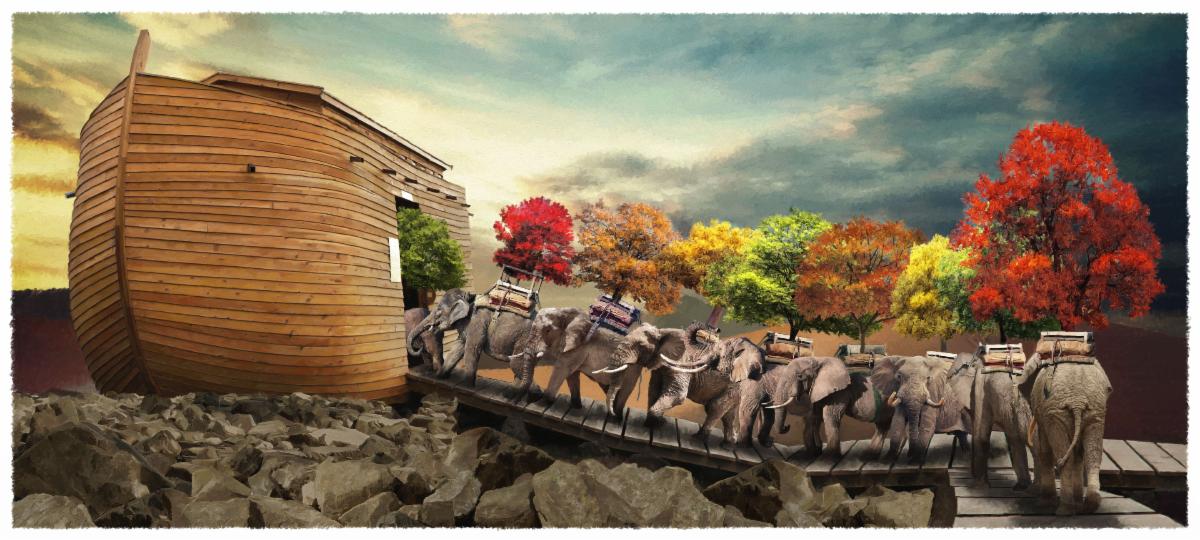 687bb4d4-98b2-479e-8cb4-290e21de1d30.jpg?profile=RESIZE_710x