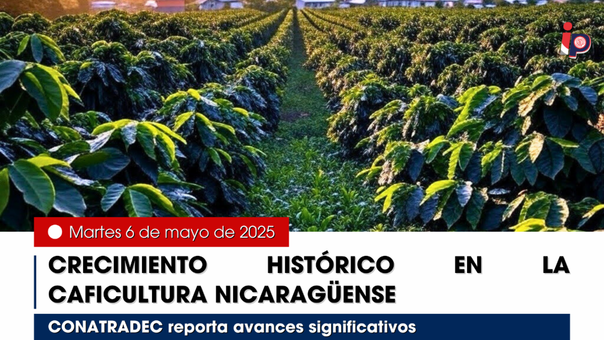 foto-principal-boletin-ip.png