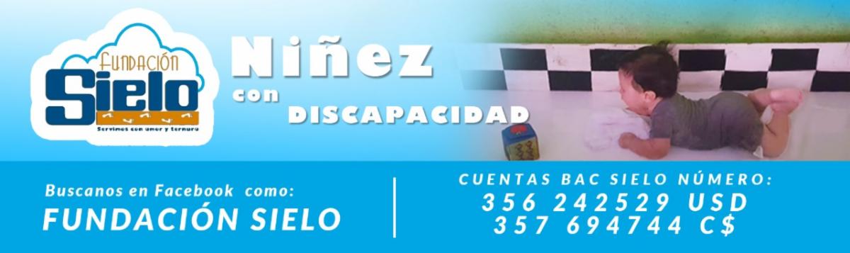SIELO Banner