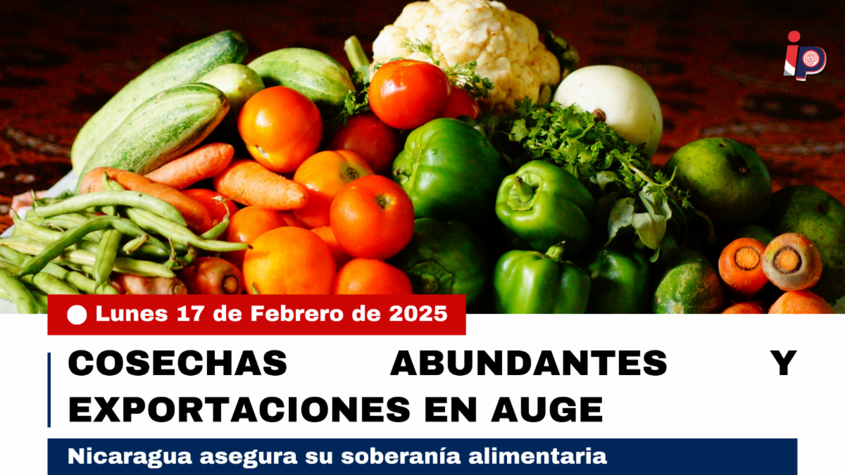 foto-principal-boletin-ip.png