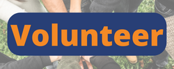 Volunteer 1.png