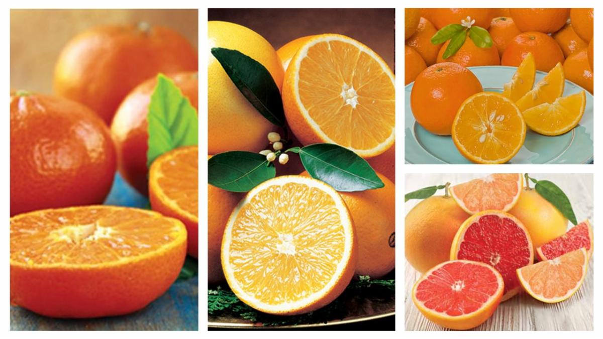 Our Citrus Unlimited truck is coming to your town!