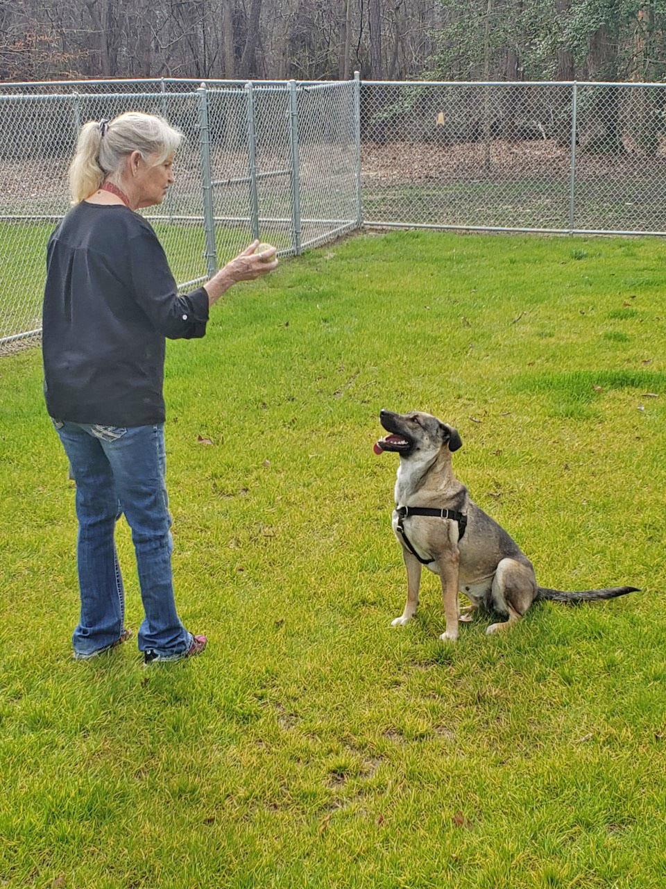 Gloucester Co Animal Shelter Has New Enclosure Thanks to Grant