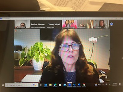 Screen showing participants of Alexandria City OVID-19 Community Resource Planning Zoom Meeting