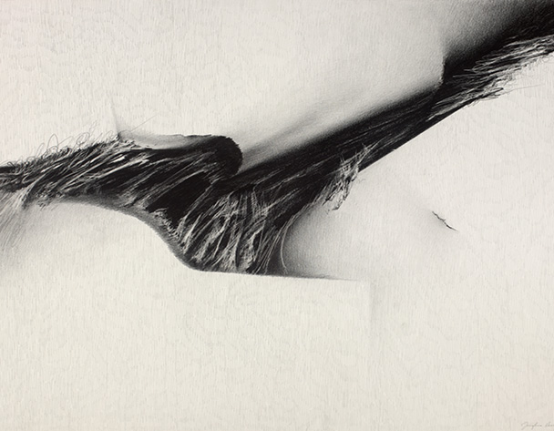 A black and white abstract drawing