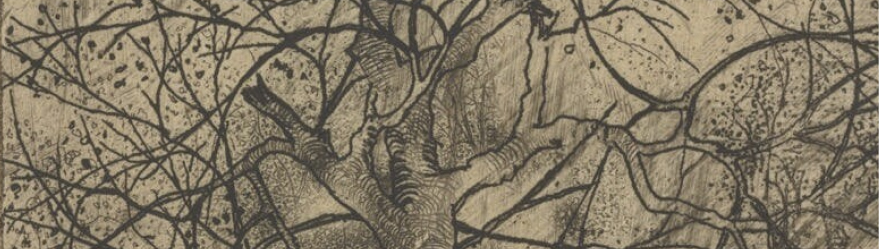 A detail of an etching depicting tree branches