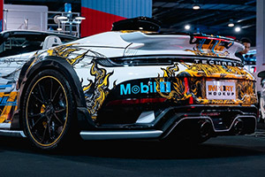 5b59719a-a17c-4c86-b7bb-8225659bf0fa image