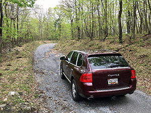 a423956d-5f47-41a6-9288-07907e03e654 image