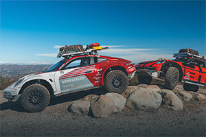 f31c521b-73a3-49e3-91d4-43131cb0a861 image