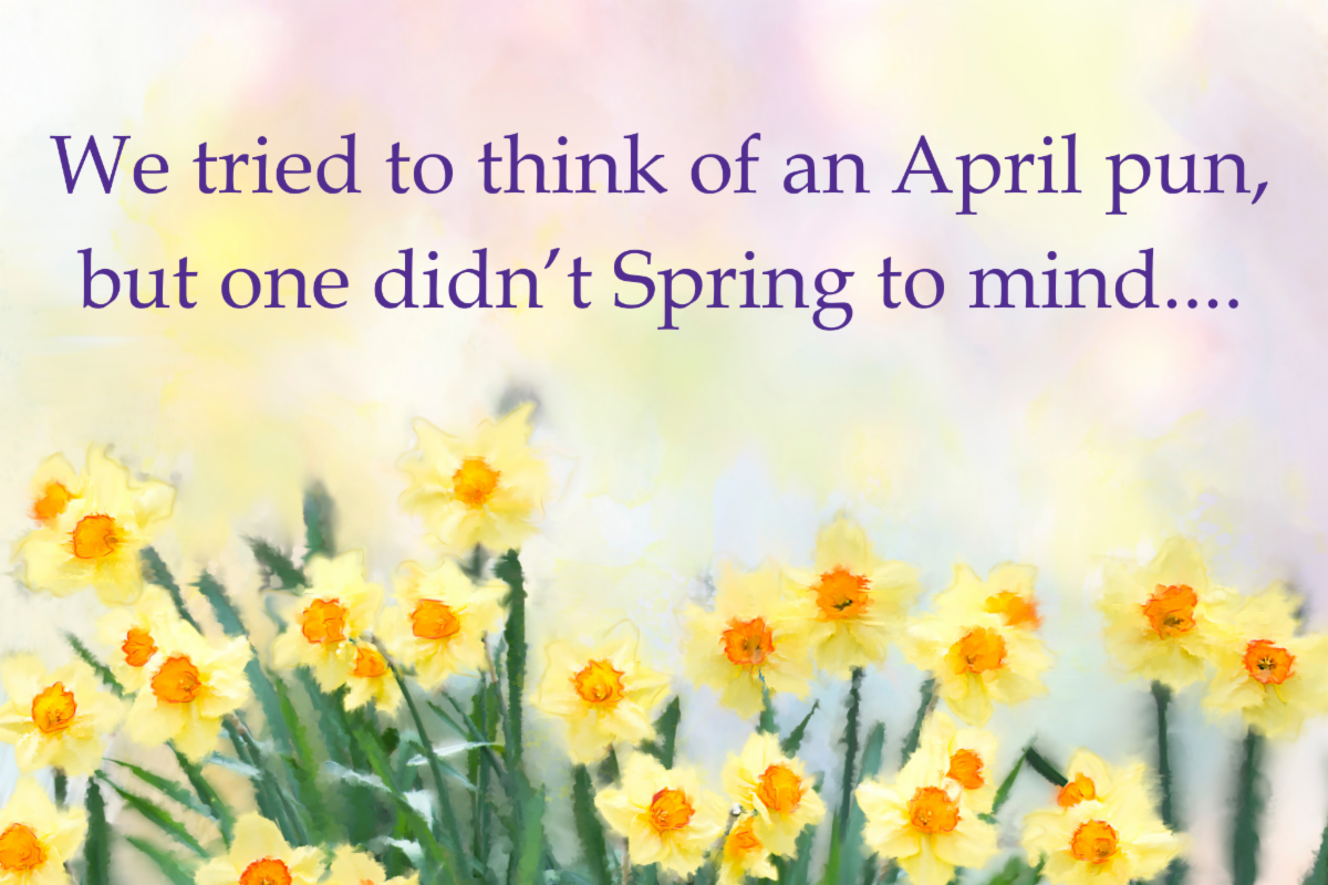 An image of flowers and the text "We tried to think of an April pun, but one didn't Spring to mind." 