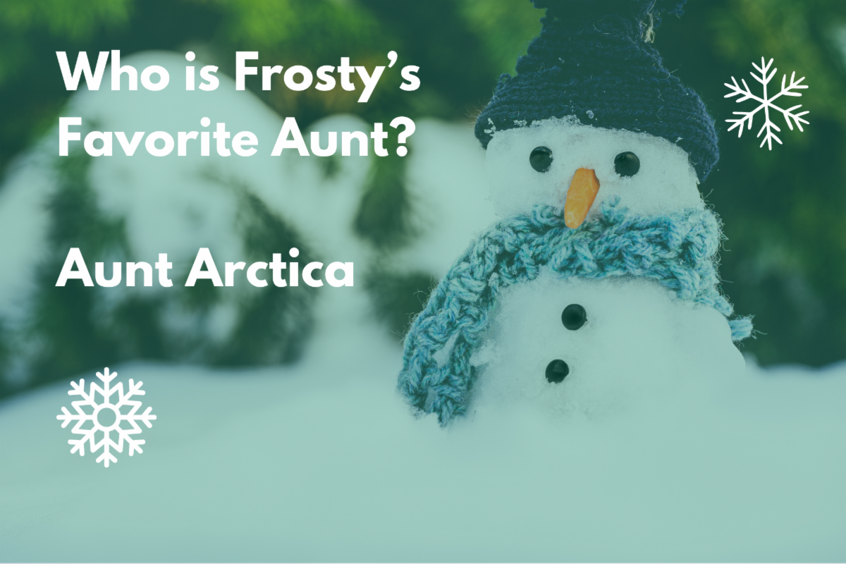 Photo of a snowman and a joke: Who is Frosty's favorite Aunt? Aunt Arctica. 