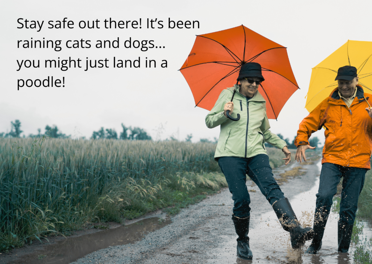 Photo of an older couple smiling and playing in the rain with the text "Stay safe out there! It's been raining cats and dogs... you might just land in a poodle!"