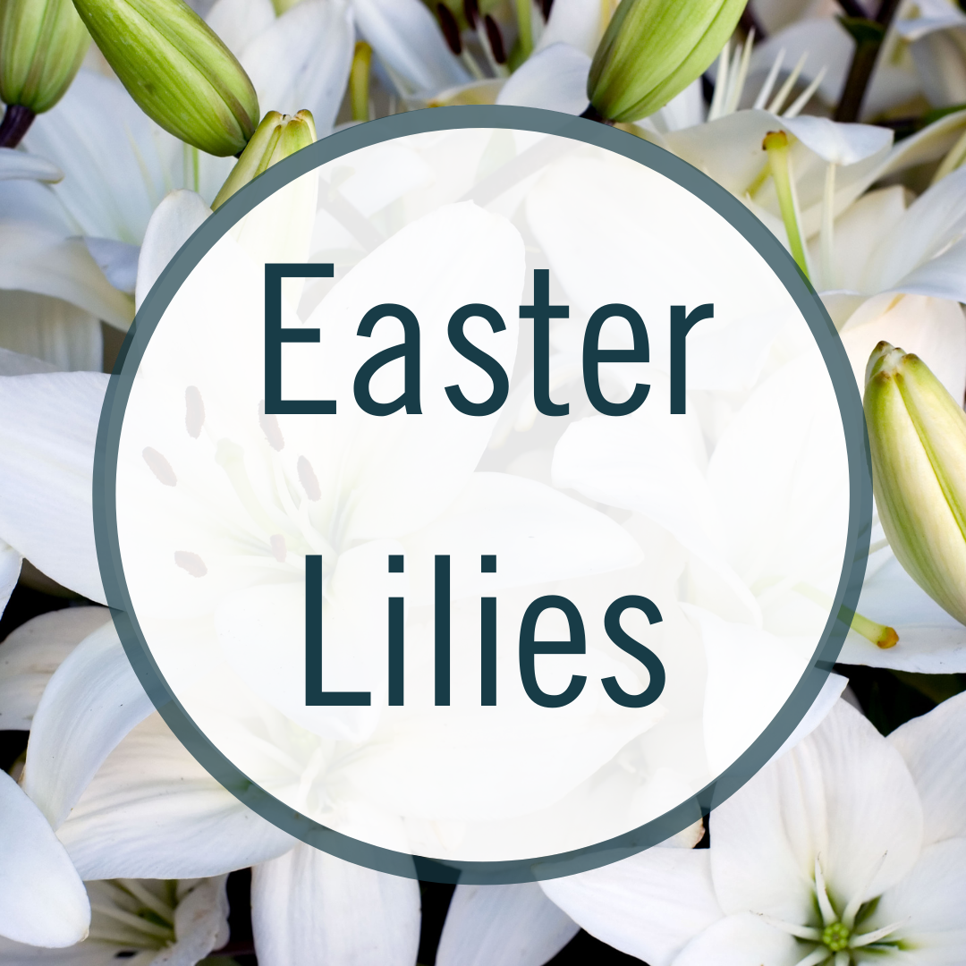 IG Easter 2021.png