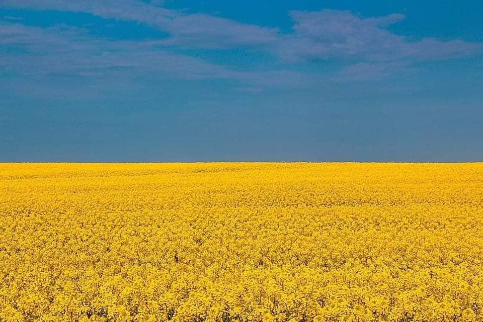 Prayers and Music for Ukraine.jpg