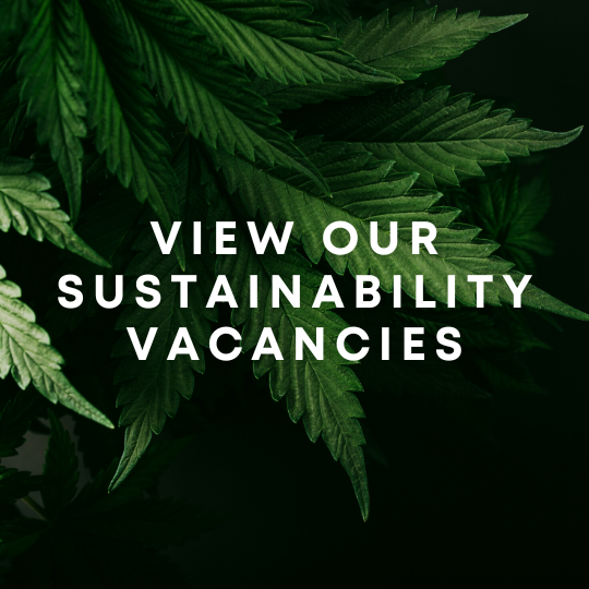 Our latest Renewable Energy & Sustainability jobs
