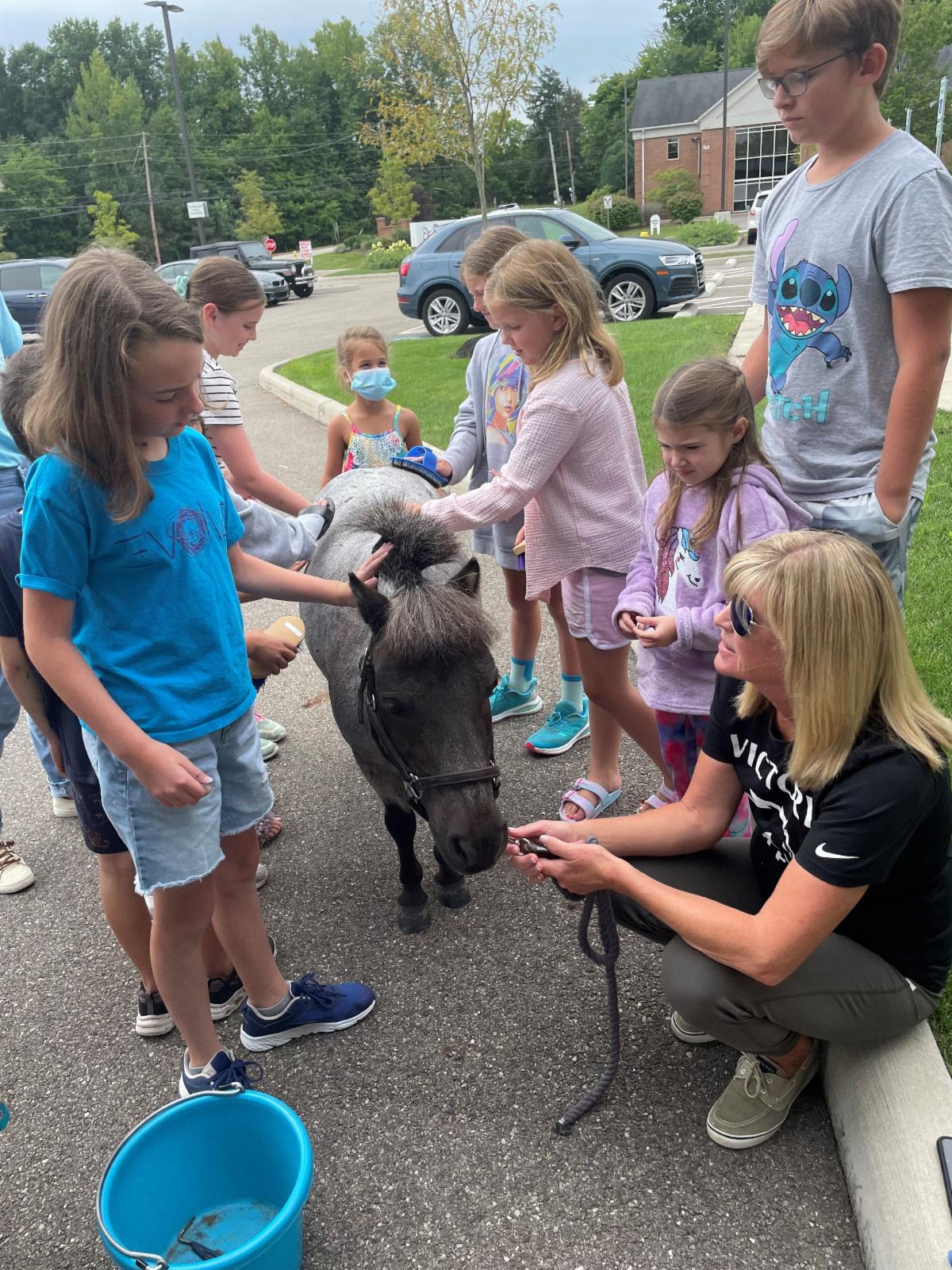 Children pet a miniature horse at Stewarts Caring Place Kids Camp
