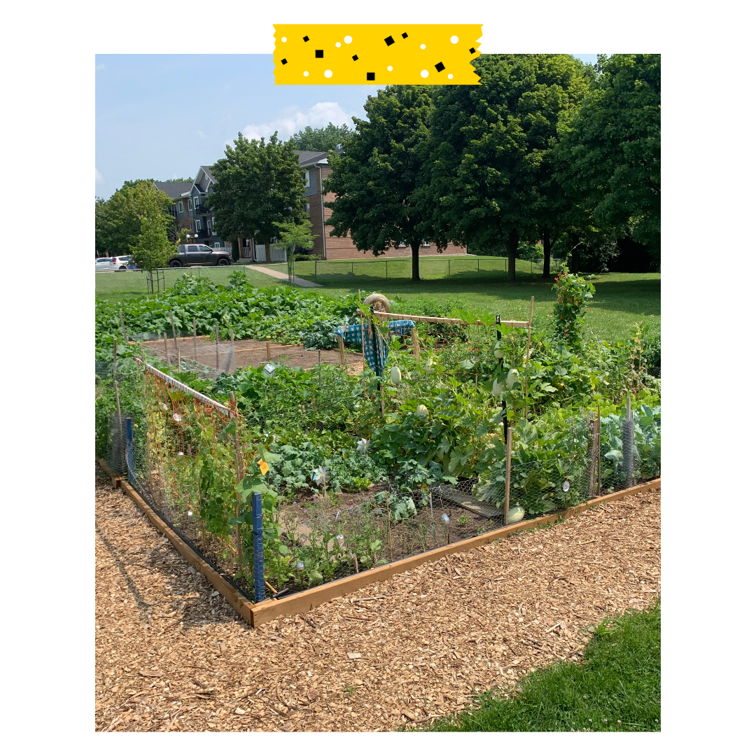 Outdoor garden with a scarecrow in the middle. 