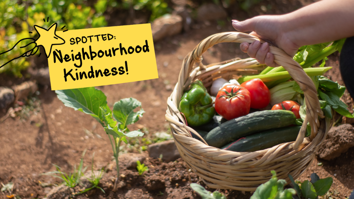 Hand holding basket filled with vegetables, text reads spotted: neighbourhood kindness
